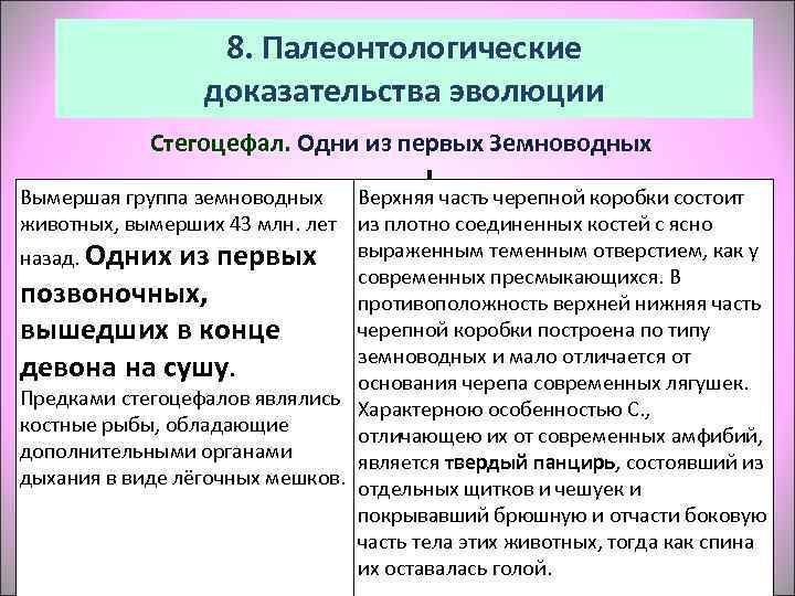     8. Палеонтологические    доказательства эволюции   Стегоцефал.