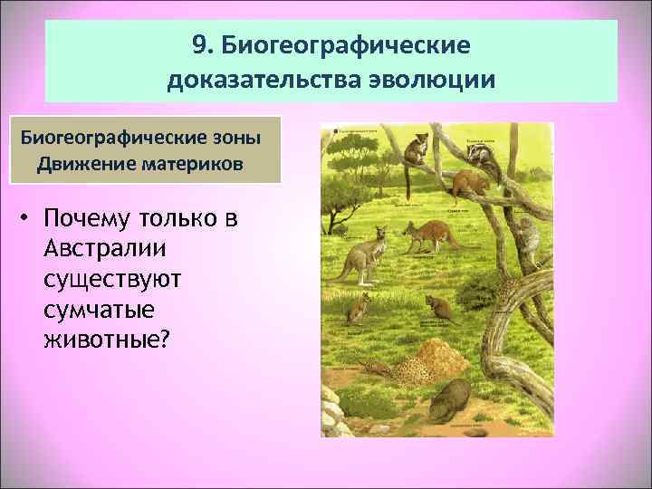     9. Биогеографические   доказательства эволюции Биогеографические зоны Движение материков