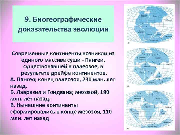 Биогеографические доказательства. Доказательства эволюции биогеографические доказательства. Биогеографические свидетельства эволюции презентация. Биогеографическая Эволюция.