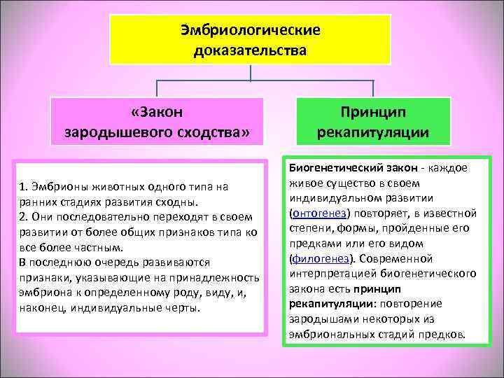       Эмбриологические     доказательства  