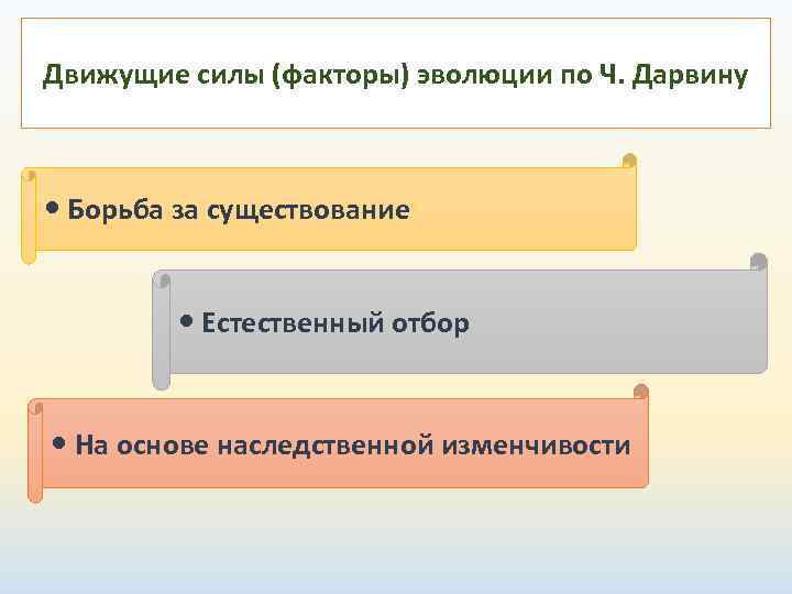 Движущие силы (факторы) эволюции по Ч. Дарвину Борьба за существование   Естественный отбор