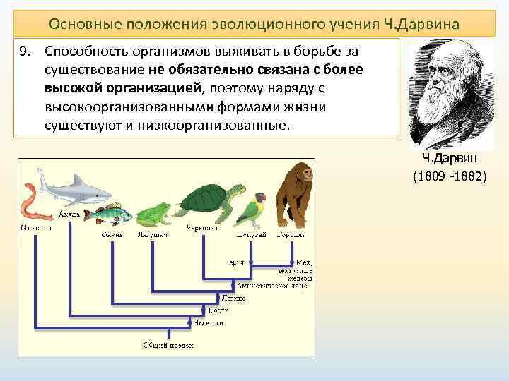  Основные положения эволюционного учения Ч. Дарвина 9. Способность организмов выживать в борьбе за