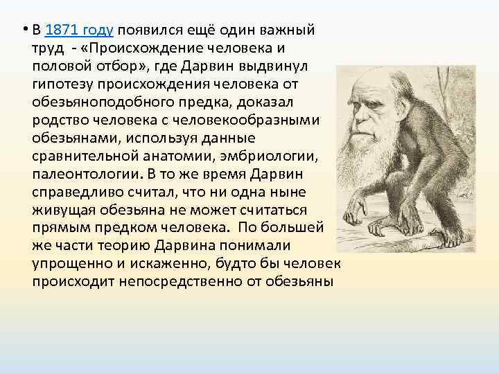 Роль труда в эволюции. Чарльз Дарвин теория эволюции. Чарльз Дарвин происхождение человека. Чарльз Дарвин о происхождении человека от животных. Ч Дарвин происхождение человека и половой отбор.