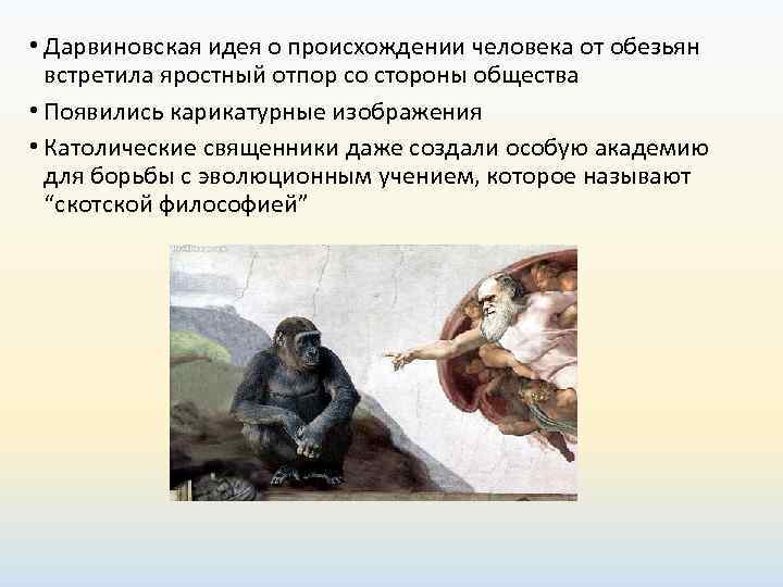  • Дарвиновская идея о происхождении человека от обезьян  встретила яростный отпор со