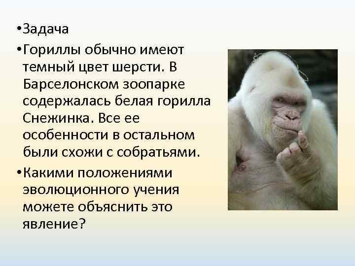  • Задача  • Гориллы обычно имеют  темный цвет шерсти. В 