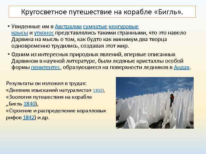  Кругосветное путешествие на корабле «Бигль» .  • Увиденные им в Австралии сумчатые