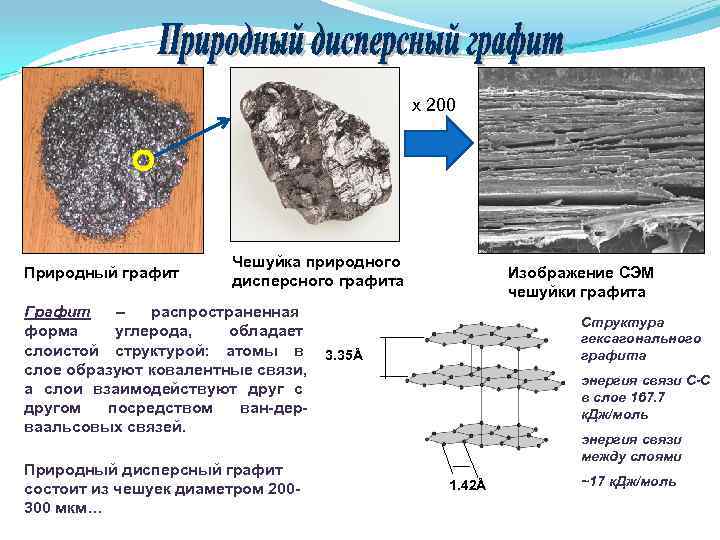 x 200 Чешуйка природного Природный x 200 Чешуйка природного Природный