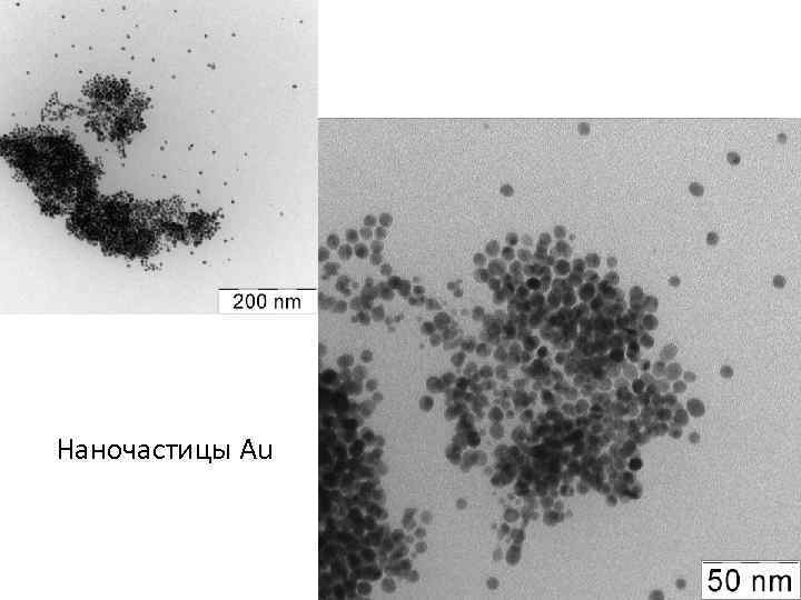 Наночастицы Au 
