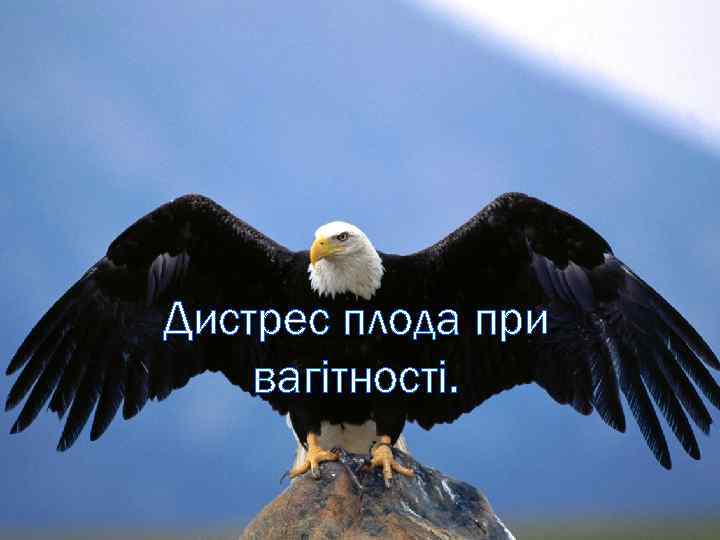 Дистрес плода при вагітності. 