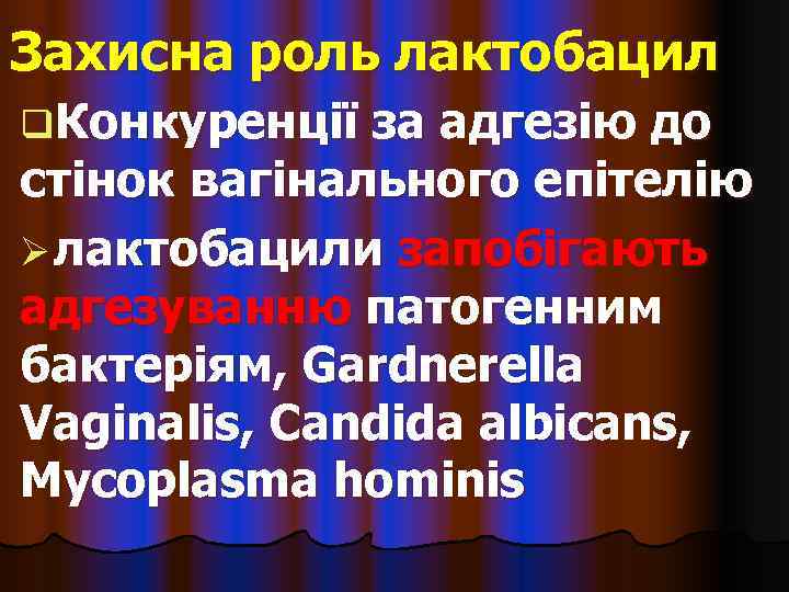 Захисна роль лактобацил q. Конкуренції за адгезію до стінок вагінального епітелію Ø лактобацили запобігають