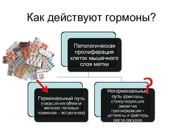 Как действуют гормоны?    Патологическая    пролиферация   клеток