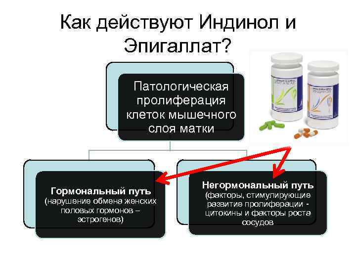   Как действуют Индинол и   Эпигаллат?     Патологическая