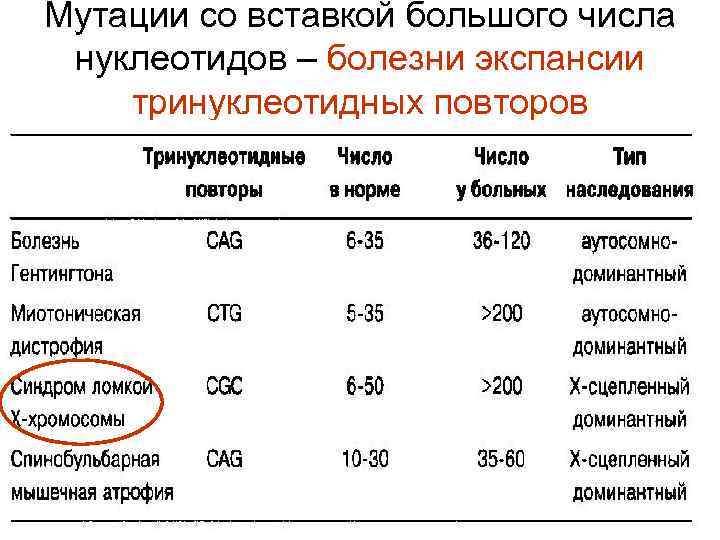 Мутации со вставкой большого числа нуклеотидов – болезни экспансии тринуклеотидных повторов 