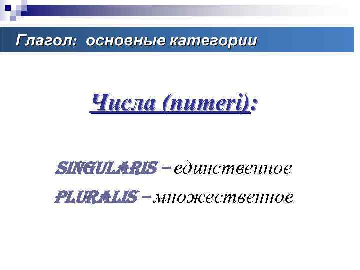   Числа (numeri):  singularis – единственное pluralis – множественное 