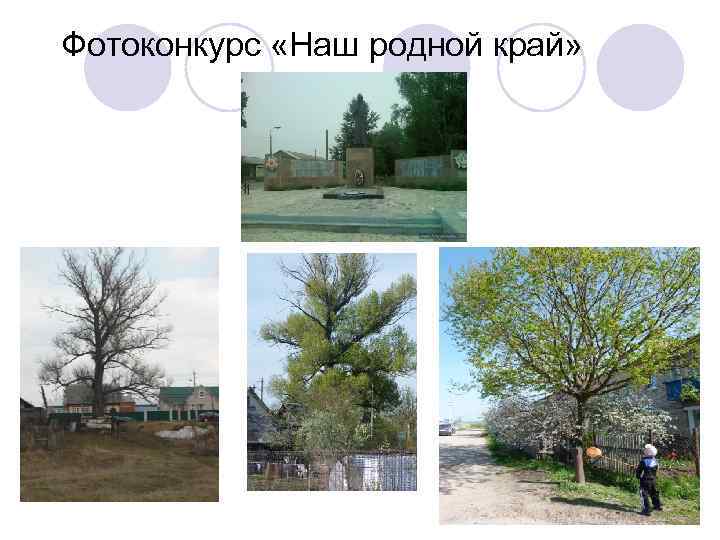 Фотоконкурс «Наш родной край» 