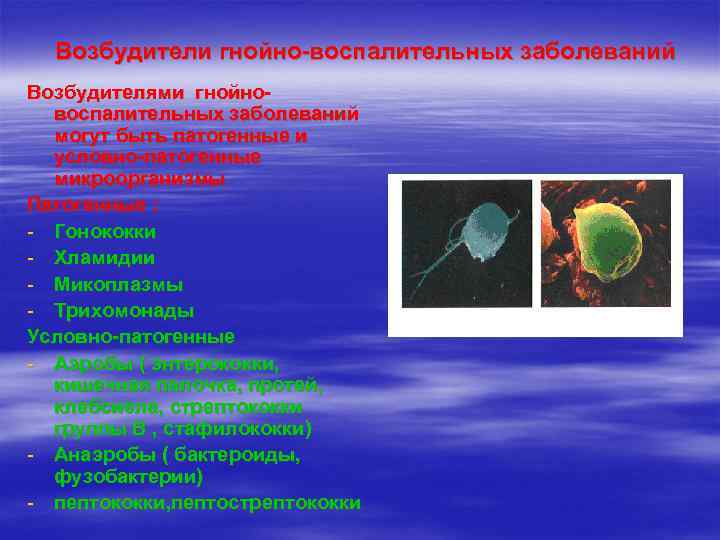  Возбудители гнойно-воспалительных заболеваний Возбудителями гнойно-  воспалительных заболеваний  могут быть патогенные и