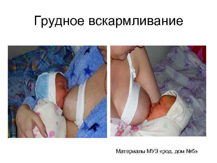 Грудное вскармливание    Материалы МУЗ «род. дом № 5» 