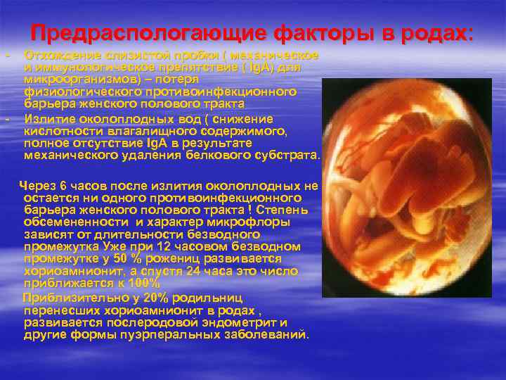  Предраспологающие факторы в родах: -  Отхождение слизистой пробки ( механическое и иммунологическое