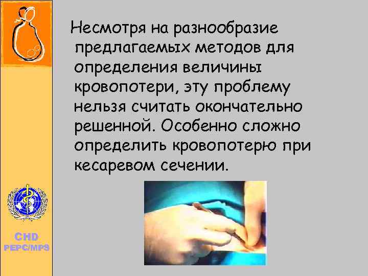      Несмотря на разнообразие      предлагаемых