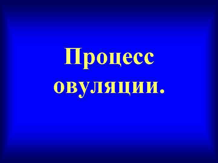  Процесс овуляции. 