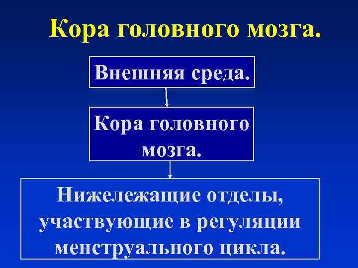 Кора головного мозга. Внешняя среда.  Кора головного   мозга. Нижележащие отделы, участвующие