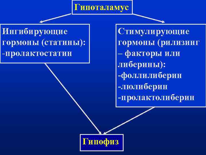     Гипоталамус Ингибирующие  Стимулирующие гормоны (статины): гормоны (рилизинг -пролактостатин 