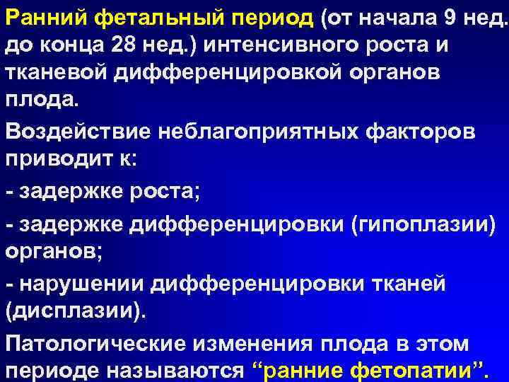 Ранний фетальный период (от начала 9 нед. до конца 28 нед. ) интенсивного роста