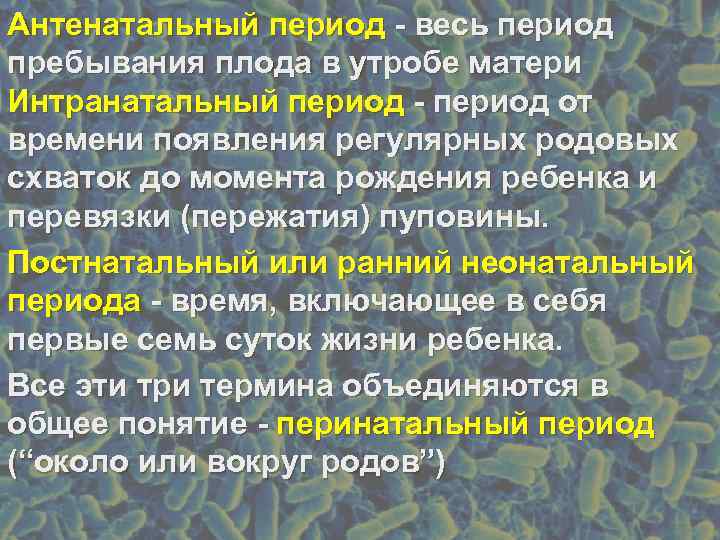 Антенатальный период - весь период пребывания плода в утробе матери Интранатальный период - период