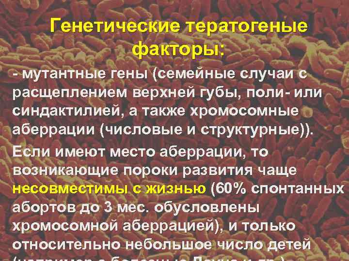   Генетические тератогеные   факторы: - мутантные гены (семейные случаи с расщеплением