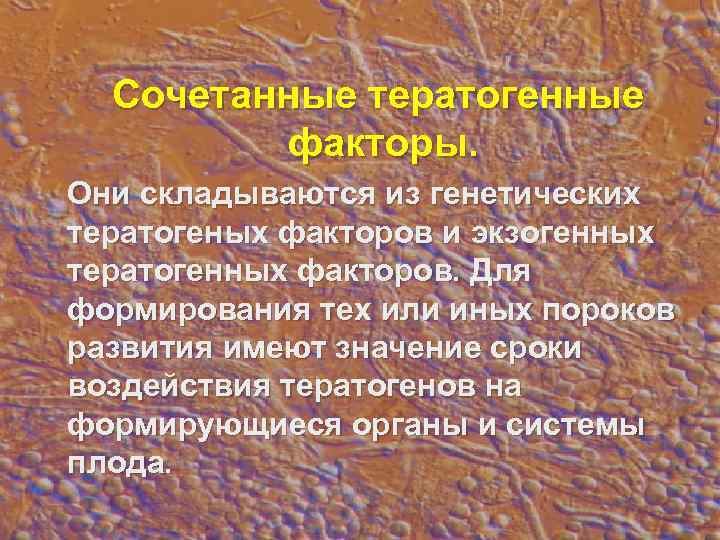  Сочетанные тератогенные   факторы. Они складываются из генетических тератогеных факторов и экзогенных