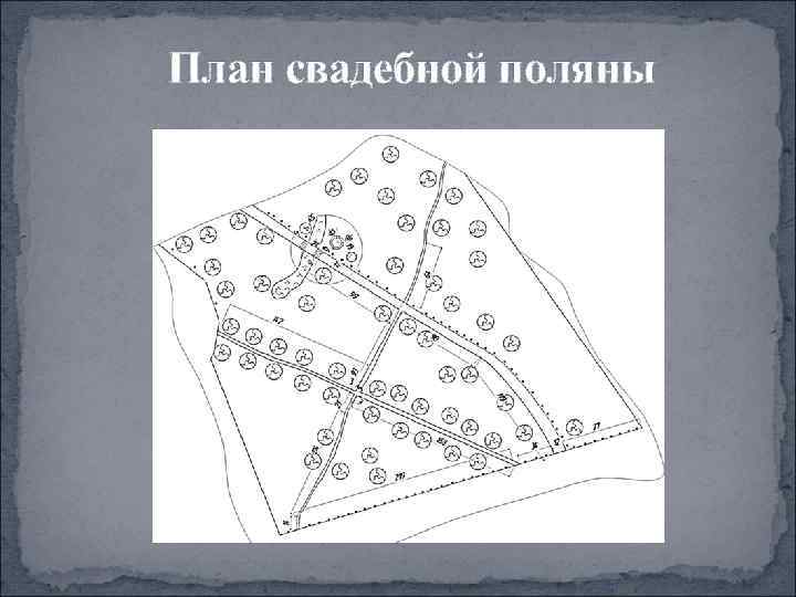 План свадебной поляны 