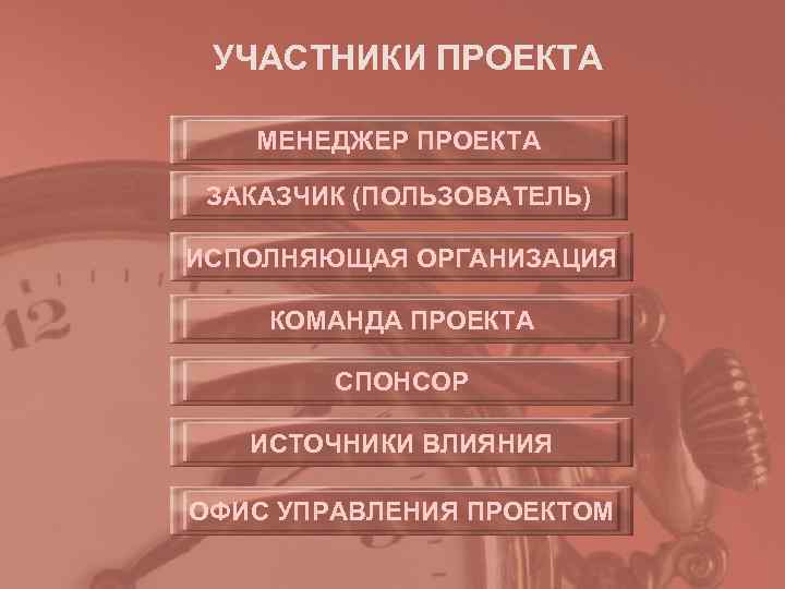 УЧАСТНИКИ ПРОЕКТА МЕНЕДЖЕР ПРОЕКТА ЗАКАЗЧИК (ПОЛЬЗОВАТЕЛЬ) ИСПОЛНЯЮЩАЯ ОРГАНИЗАЦИЯ КОМАНДА ПРОЕКТА УЧАСТНИКИ ПРОЕКТА МЕНЕДЖЕР ПРОЕКТА ЗАКАЗЧИК (ПОЛЬЗОВАТЕЛЬ) ИСПОЛНЯЮЩАЯ ОРГАНИЗАЦИЯ КОМАНДА ПРОЕКТА