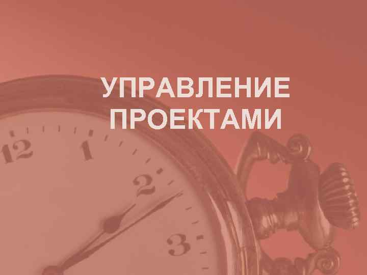 УПРАВЛЕНИЕ ПРОЕКТАМИ 