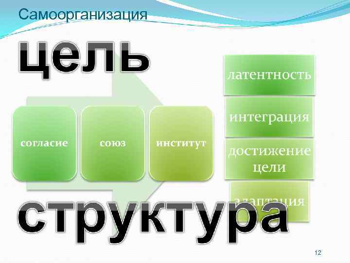 Самоорганизация 12 Самоорганизация 12