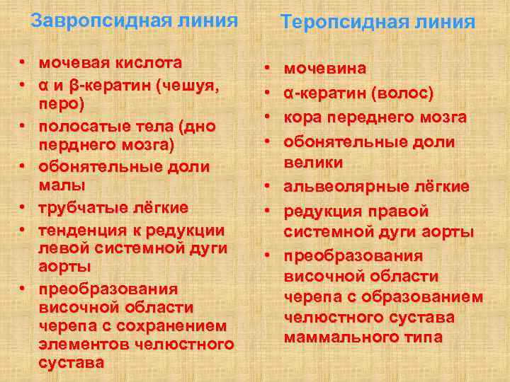  Завропсидная линия  Теропсидная линия  • мочевая кислота   • 