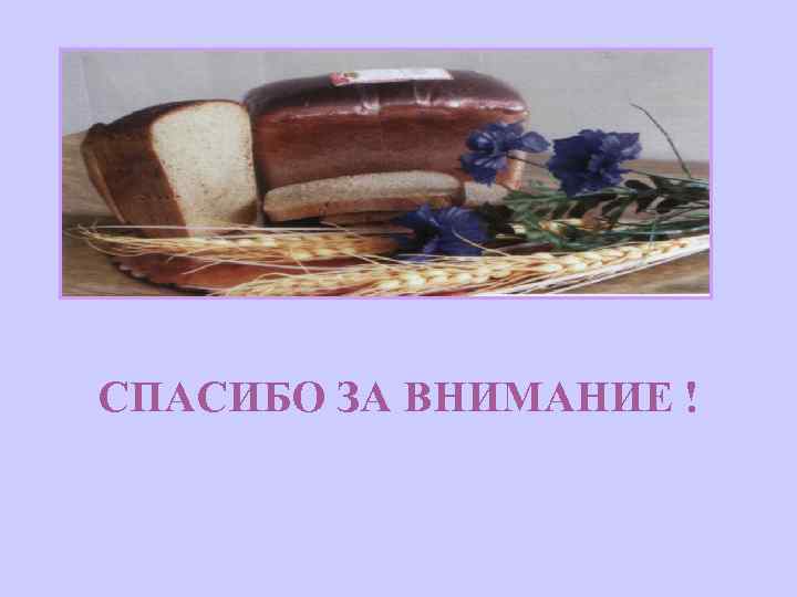 СПАСИБО ЗА ВНИМАНИЕ ! 
