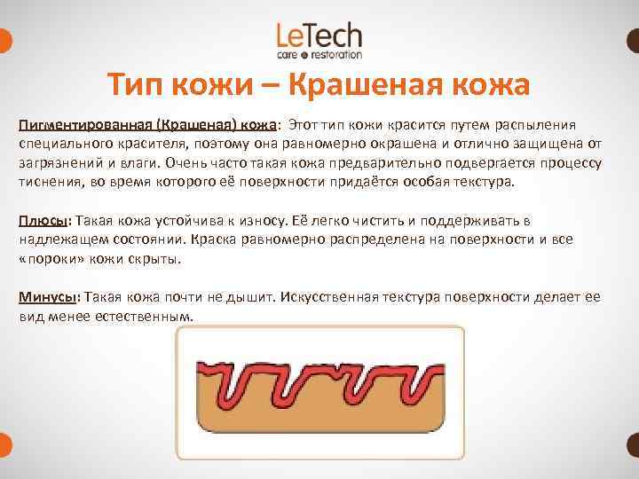   Тип кожи – Крашеная кожа Пигментированная (Крашеная) кожа: Этот тип кожи красится