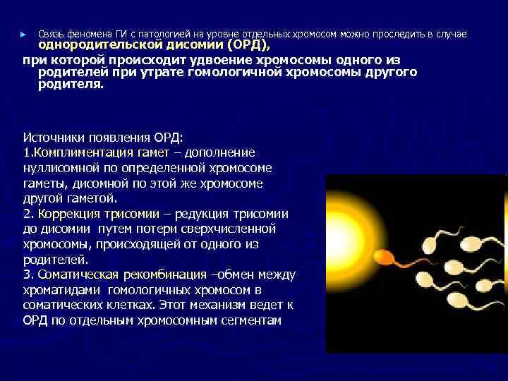 ►  Связь феномена ГИ с патологией на уровне отдельных хромосом можно проследить в