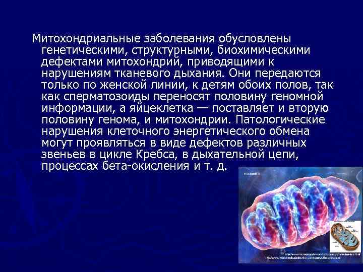 Митохондриальные заболевания обусловлены генетическими, структурными, биохимическими дефектами митохондрий, приводящими к нарушениям тканевого дыхания. Они