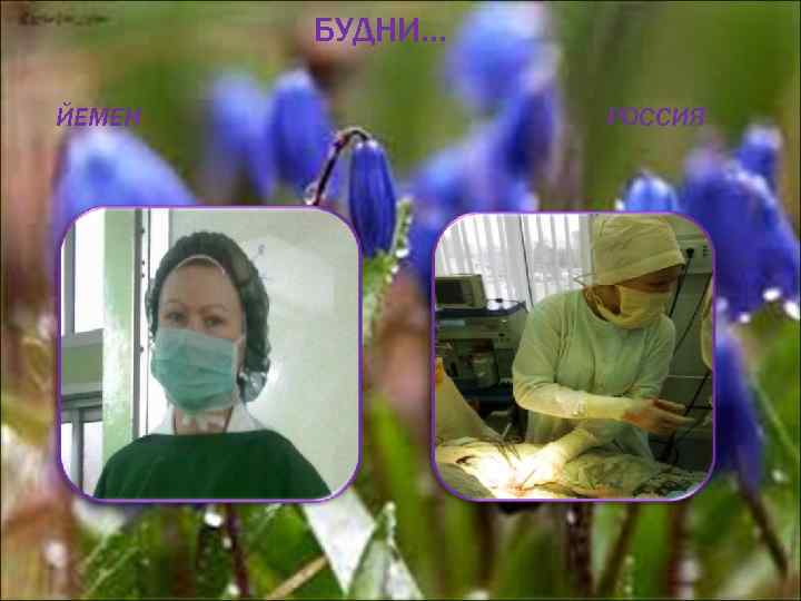   БУДНИ… ЙЕМЕН  РОССИЯ 