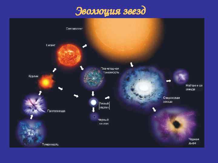 Эволюция звезд Эволюция звезд