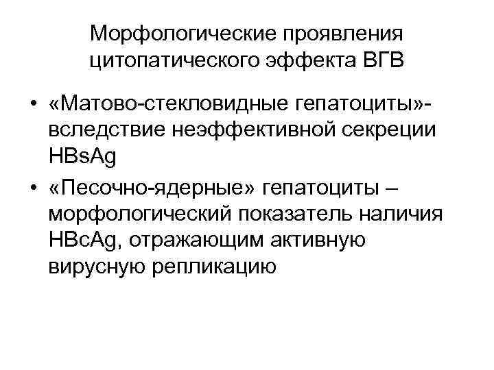  Морфологические проявления  цитопатического эффекта ВГВ •  «Матово-стекловидные гепатоциты» -  вследствие