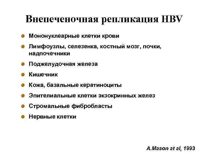 Внепеченочная репликация HBV Мононуклеарные клетки крови Лимфоузлы, селезенка, костный мозг, почки, надпочечники Поджелудочная железа