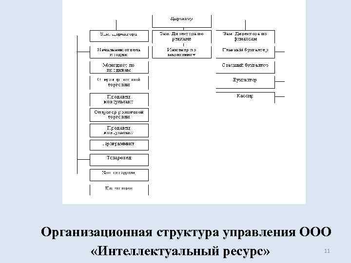  Организационная структура управления ООО   «Интеллектуальный ресурс»  11 