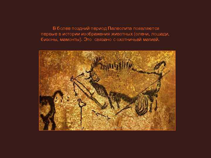    В более поздний период Палеолита появляются первые в истории изображения животных