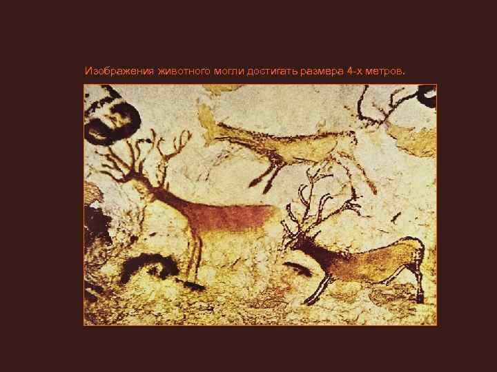 Изображения животного могли достигать размера 4 -х метров. 