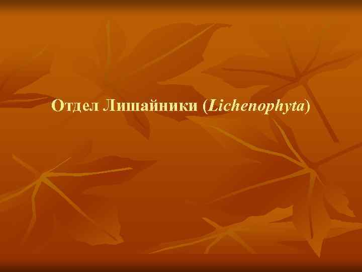 Отдел Лишайники (Lichenophyta) 