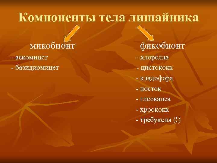  Компоненты тела лишайника  микобионт фикобионт - аскомицет  - хлорелла - базидиомицет