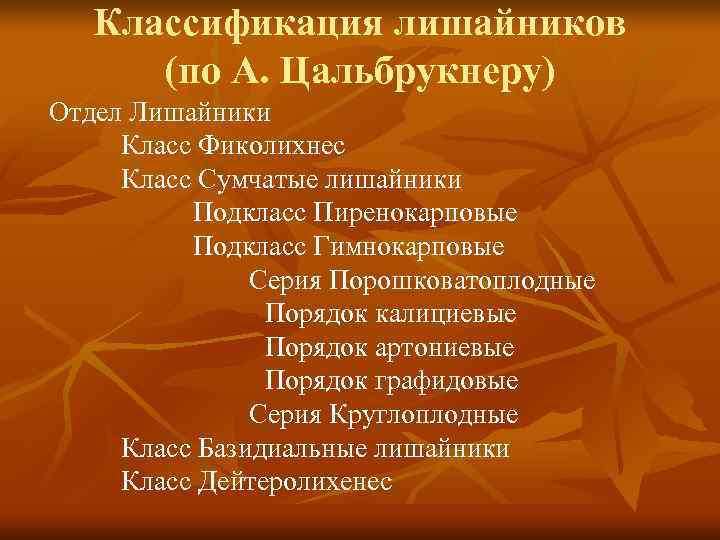   Классификация лишайников  (по А. Цальбрукнеру) Отдел Лишайники Класс Фиколихнес Класс Сумчатые