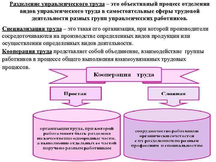  Разделение управленческого труда – это объективный процесс отделения видов управленческого труда в самостоятельные